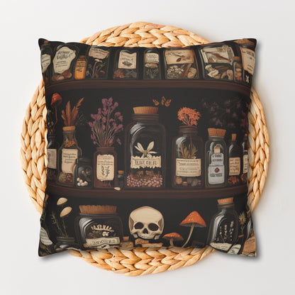Gothic Apothecary Pillow, Witchcraft Potion Shelf Dark Academia Throw Cushion, Spooky Halloween Decor